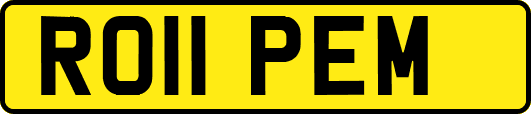 RO11PEM