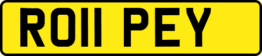 RO11PEY