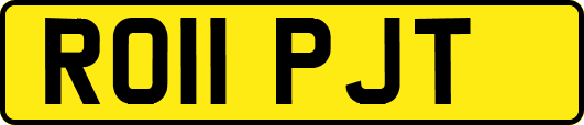 RO11PJT