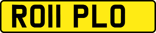 RO11PLO