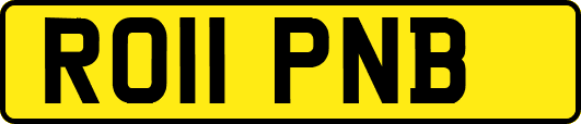 RO11PNB
