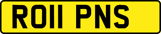 RO11PNS