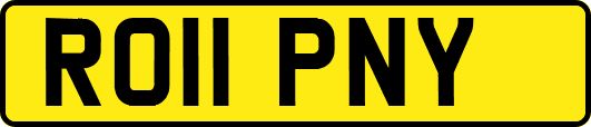 RO11PNY