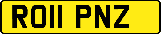 RO11PNZ