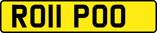 RO11POO