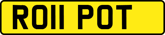 RO11POT