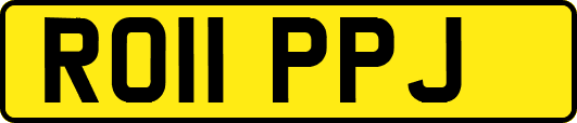 RO11PPJ