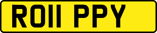 RO11PPY