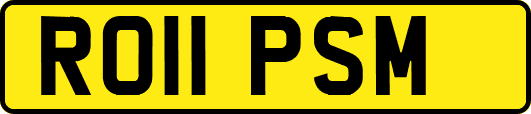 RO11PSM