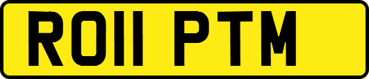 RO11PTM