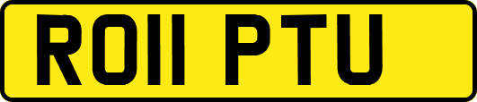 RO11PTU