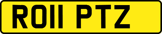 RO11PTZ