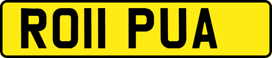 RO11PUA