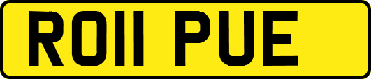 RO11PUE
