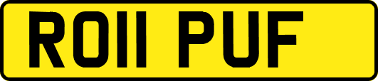 RO11PUF