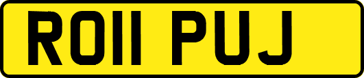 RO11PUJ