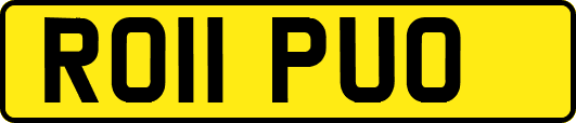 RO11PUO