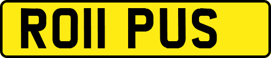 RO11PUS