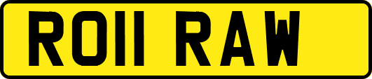 RO11RAW