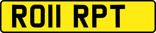 RO11RPT