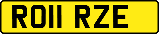 RO11RZE