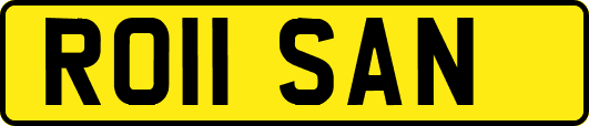 RO11SAN