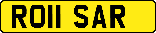 RO11SAR