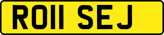 RO11SEJ