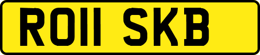 RO11SKB