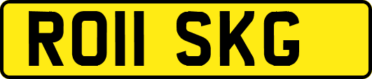RO11SKG