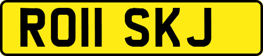 RO11SKJ