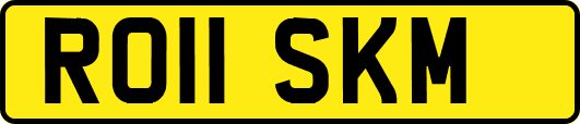 RO11SKM