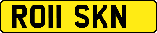 RO11SKN