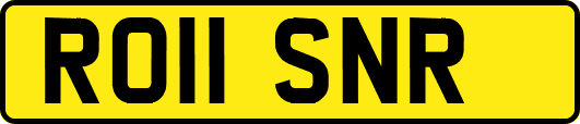 RO11SNR