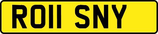 RO11SNY