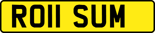 RO11SUM