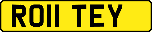 RO11TEY