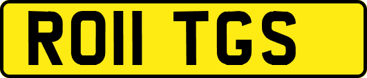 RO11TGS