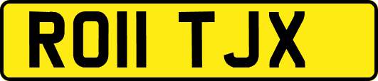 RO11TJX