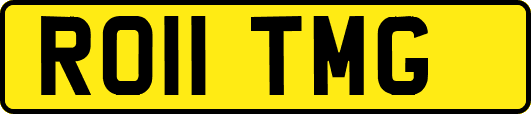 RO11TMG