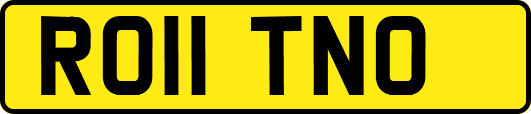 RO11TNO