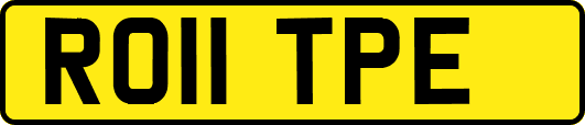 RO11TPE