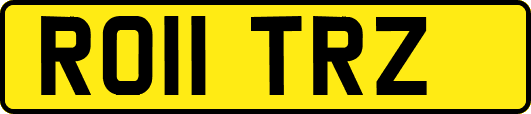 RO11TRZ
