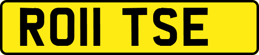 RO11TSE