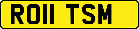RO11TSM