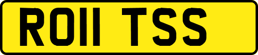 RO11TSS