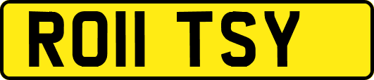 RO11TSY