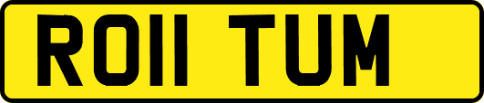 RO11TUM
