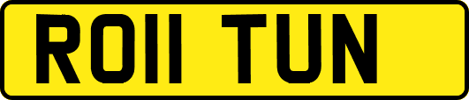 RO11TUN