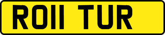 RO11TUR